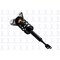 Fcs Struts COMPLETE STRUT ASSEMBLY 1335655 - alternate 2